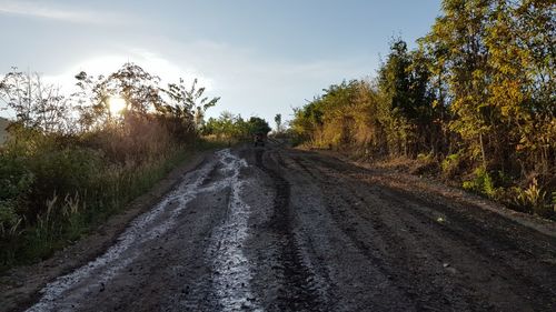 Dirt road amidst trees against sky