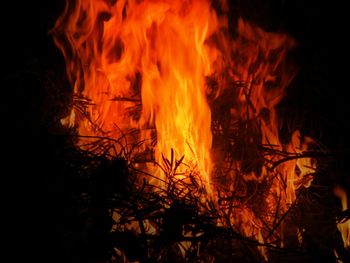 Close-up of bonfire at night