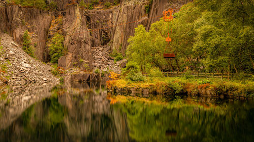 Scenic view of lake in forest