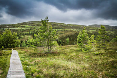 Scenic view of landscape against sky