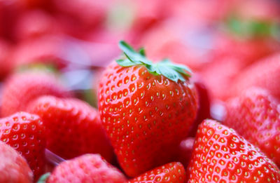 Close-up of strawberries