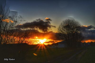 Silhouette trees against sky during sunset