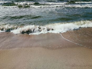 Scenic view of beach