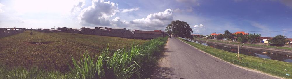 Panoramic view of trees against sky