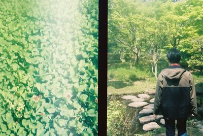 Rear view of man sitting by window