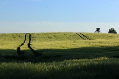 Scenic view of agricultural field against sky