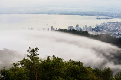 Scenic view of trees and cityscape against sky