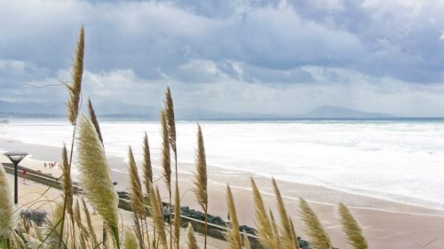 Close-up of sea against sky