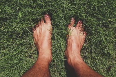 Low section of person standing on grassy field