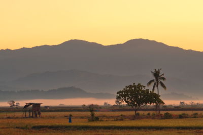 Scenic view of field against sky during sunset