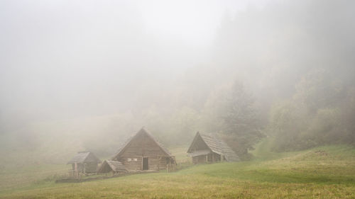 Ancient wooden huts in foggy forest, slovakia, europe