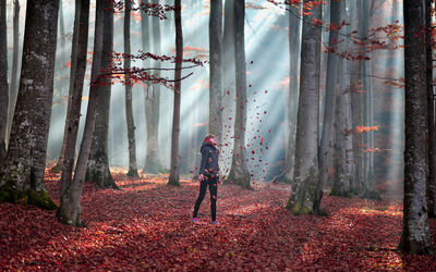 Woman standing in forest in autumn
