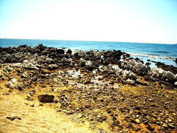 Scenic view of sea against clear sky