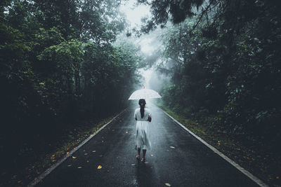 Rear view of person walking on wet road amidst trees