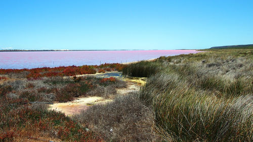 Scenic view of sea against clear sky