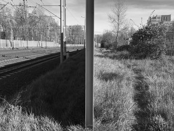 View of railroad tracks on field