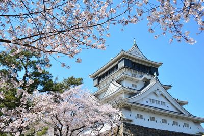 Low angle view of building and trees against sky