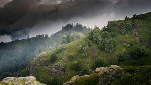 Panoramic view of trees and mountains against sky