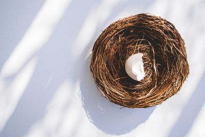 Bird nest with broken eggshell