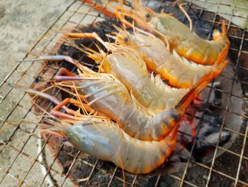 High angle view of fish on barbecue grill