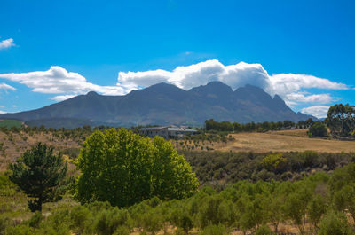 Scenic view of landscape and mountains against sky