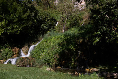 Scenic view of waterfall in forest