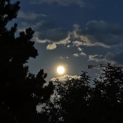 Low angle view of silhouette trees against sky during sunset