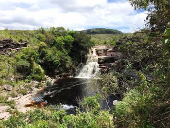 Scenic view of waterfall in forest