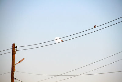 Low angle view of power cables against clear sky