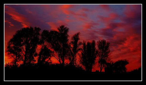 Silhouette of trees against sky at sunset