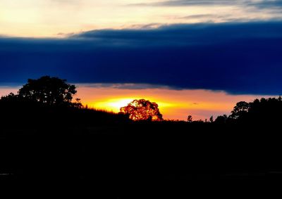 Silhouette trees against dramatic sky during sunset