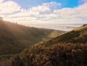 Scenic view of landscape against sky