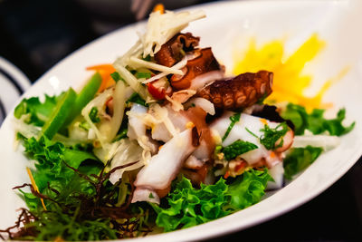 Close-up of meal served in plate