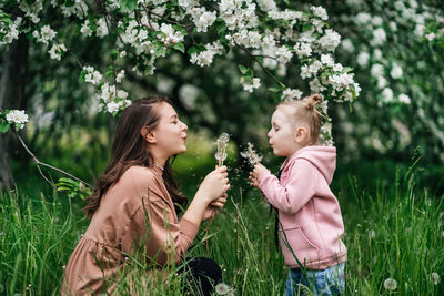 Mother and daughter with dandelions blooming apple trees