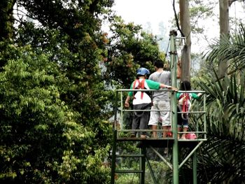 Trees growing in park