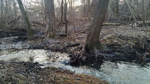 Close-up of water