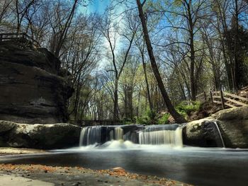 Scenic view of waterfall in forest