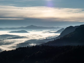 Mountains with trees and fog. virgin autumnal morning in hilly landscape