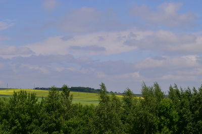 Scenic view of agricultural field against sky