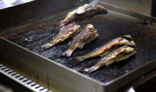 Close-up of fish cooking on electric stove