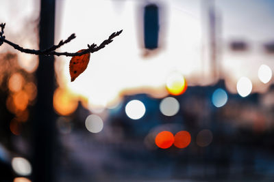 Close-up of illuminated lights in city at sunset