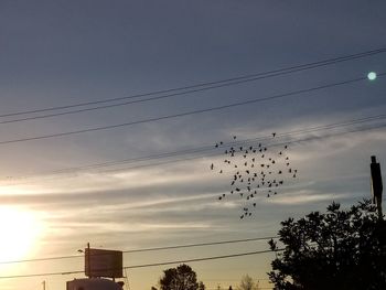 Low angle view of birds flying against sky
