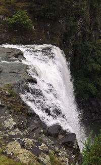 Scenic view of waterfall in forest