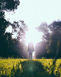 Rear view of woman standing on field against clear sky