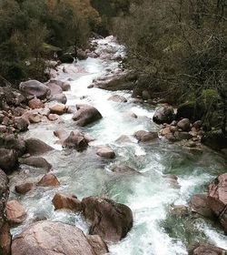 Stream flowing through rocks in forest