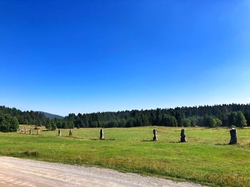 Scenic view of field against clear blue sky