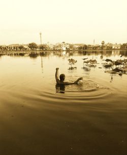 View of duck swimming in lake