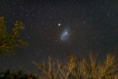 Scenic view of star field against sky at night