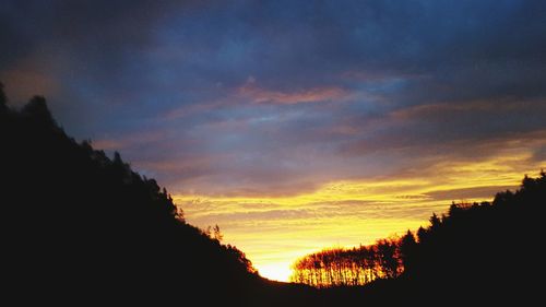 Silhouette of trees at sunset