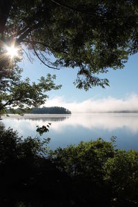 Trees by lake against sky